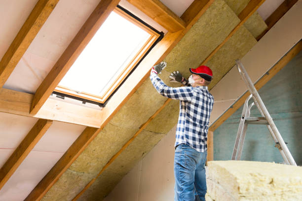 Professional Insulation Services in Lakemoor, IL